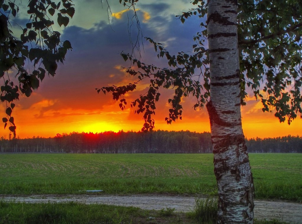 Над родной страной. Родина Россия природа. Природа нашей Родины. Красота моей Родины. Родина Россия красивые.