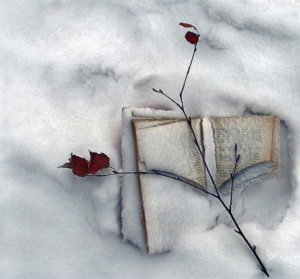 Ни разгаданного. Письмо на снегу. Снег рисунок. Тени от деревьев на снегу. Мартовские тени на снегу.