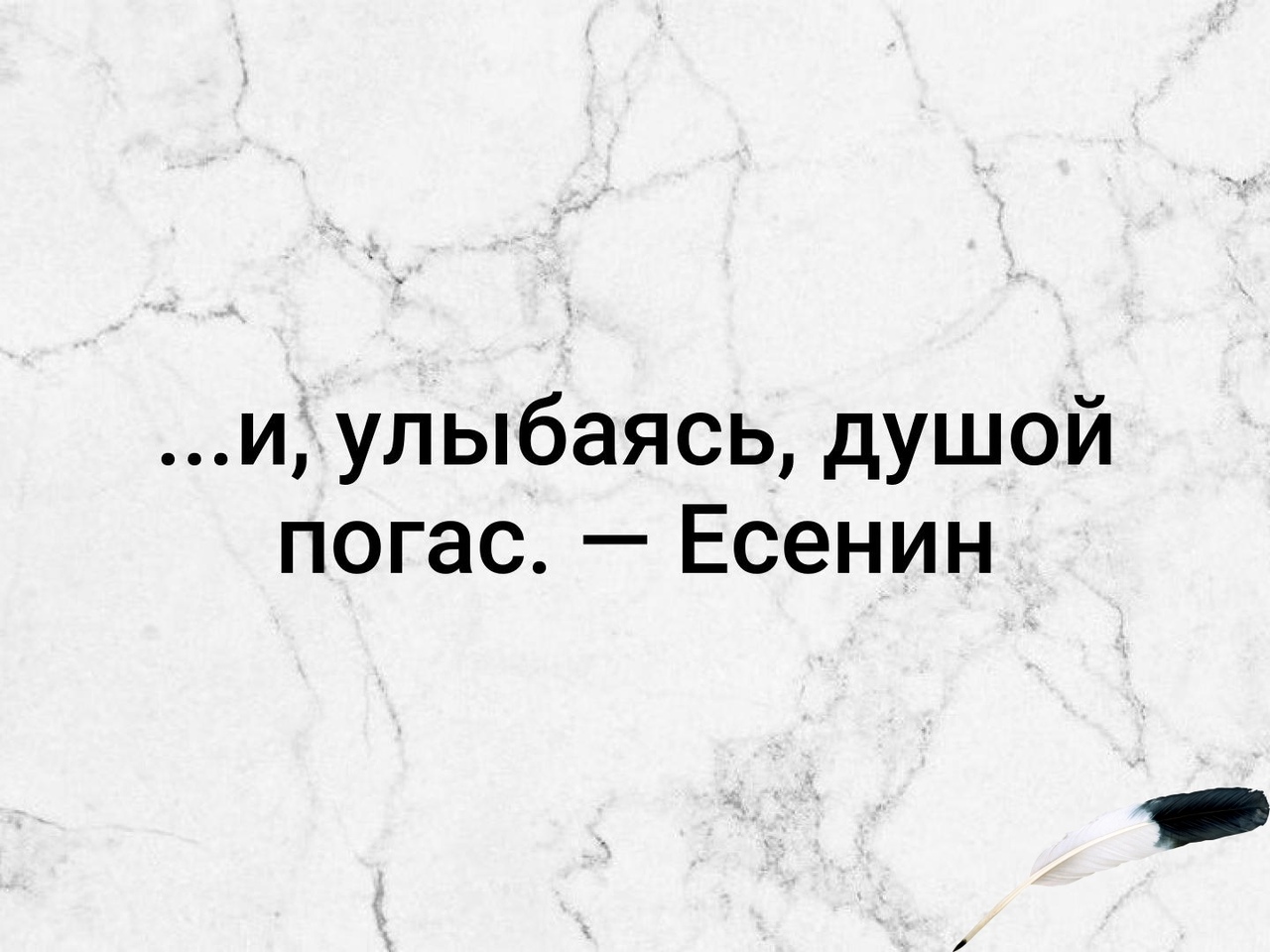 засунул в жопу банку а она разбилась фото 114